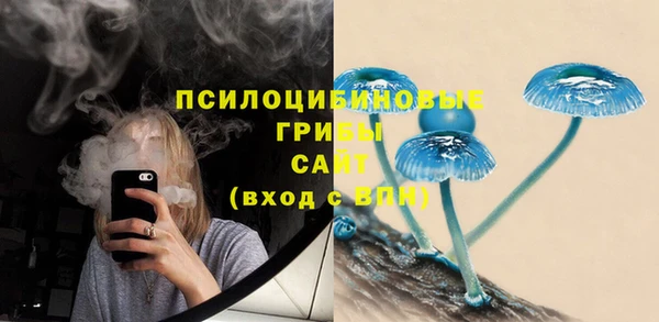 эйфоретик Карпинск