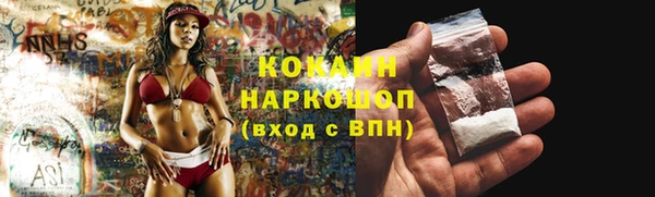 тгк Касимов