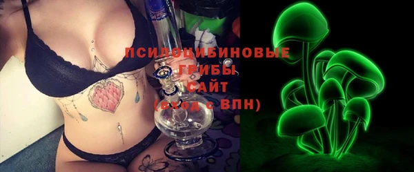 тгк Касимов
