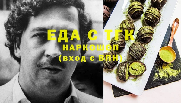 тгк Касимов