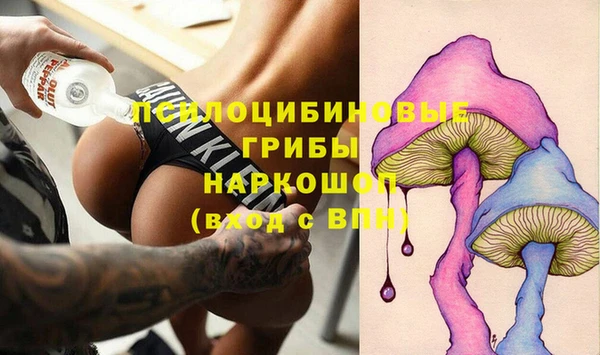 эйфоретик Карпинск