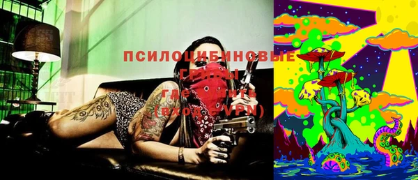 эйфоретик Карпинск