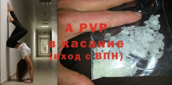 тгк Касимов